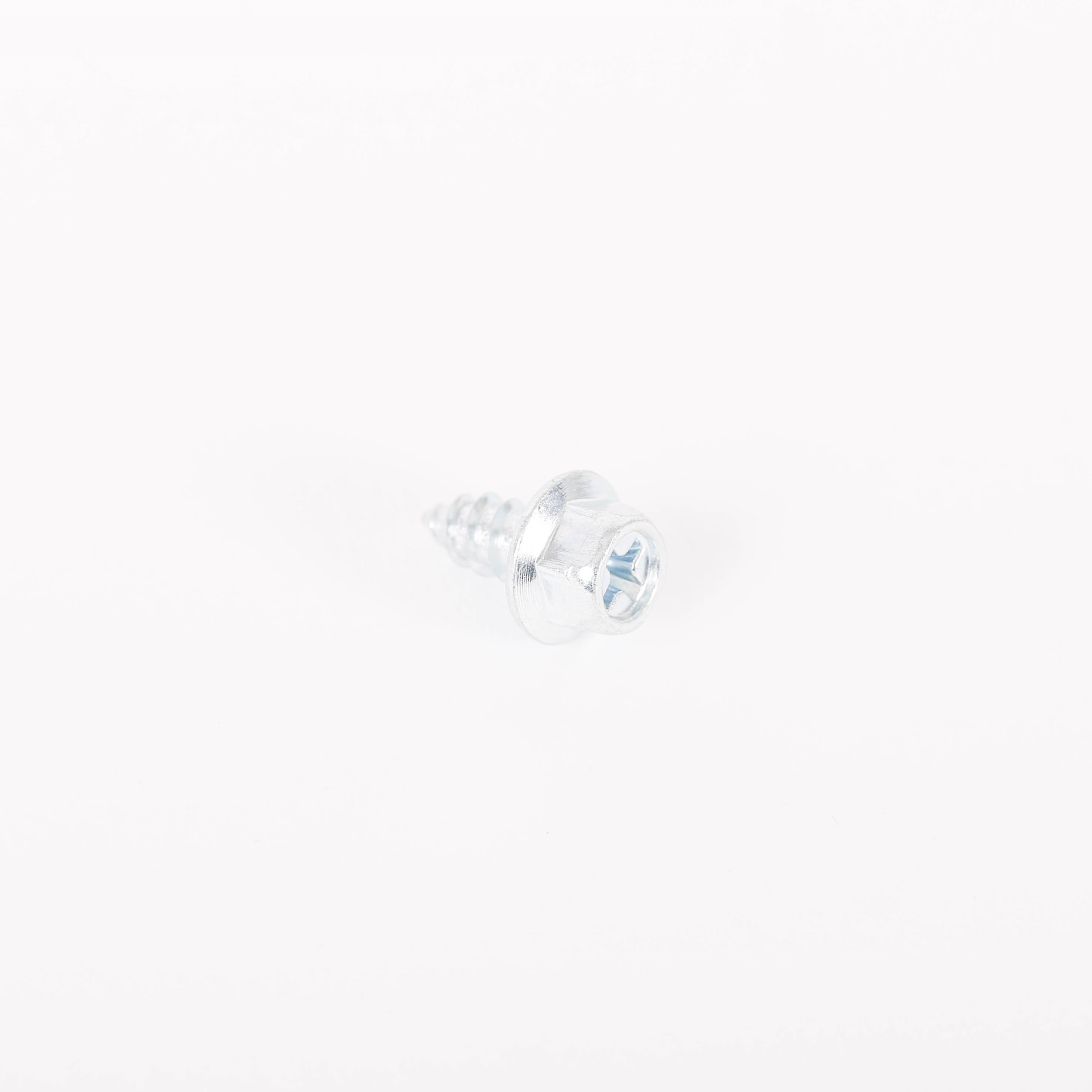 10036590 SCREW