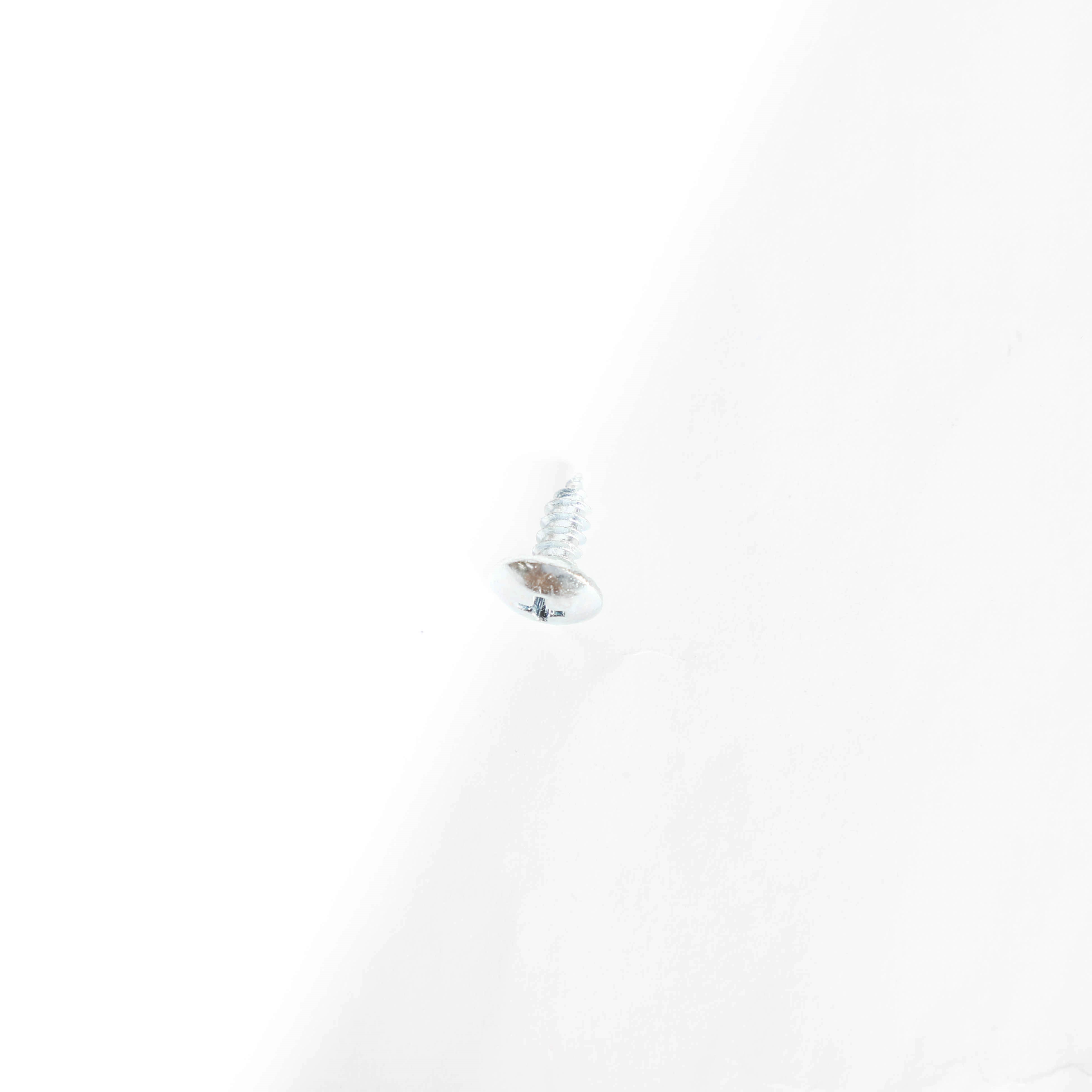 10034862 SCREW