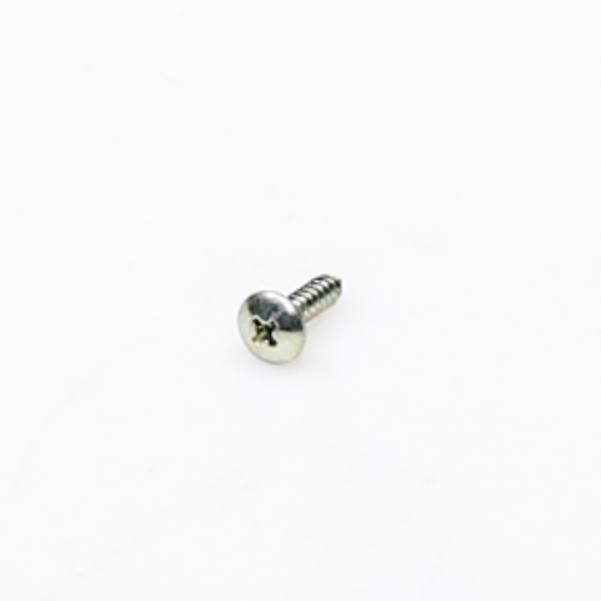 WP489491 SCREW