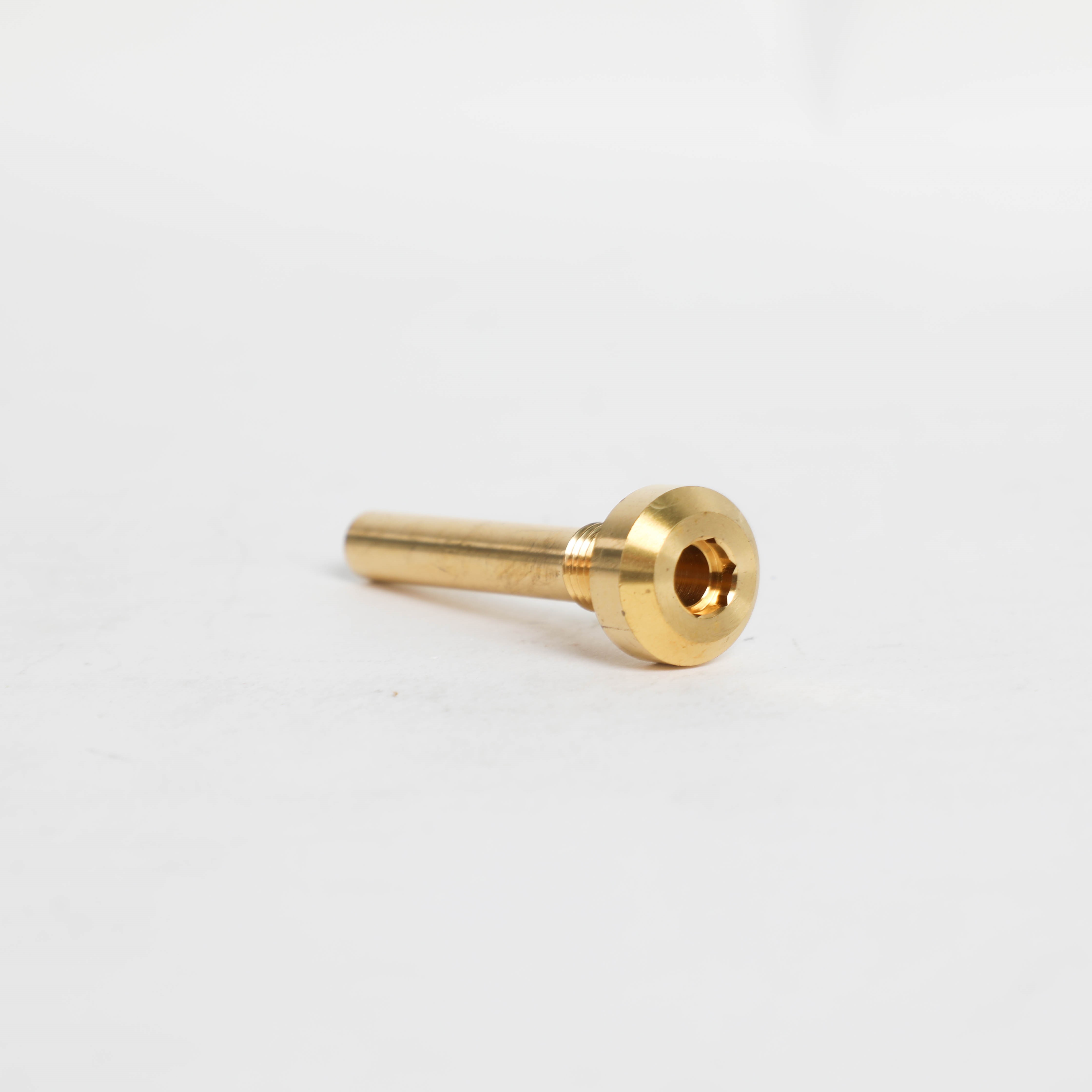 Bosch 10004496