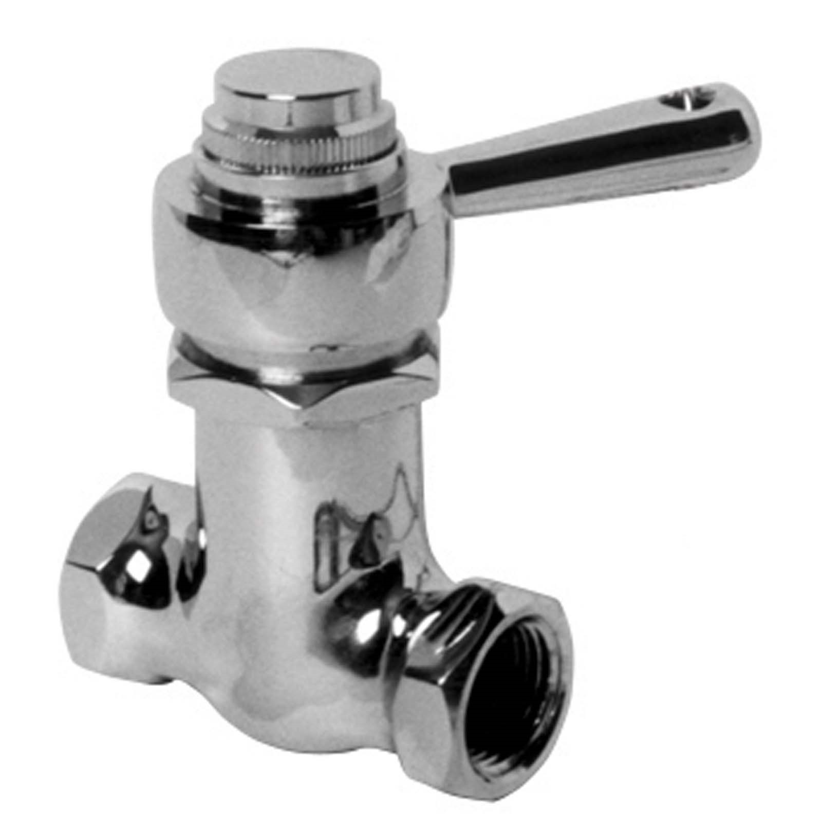 WOLVERINE BRASS 88041 BRASS SELF-CLOSING SHOWER VA