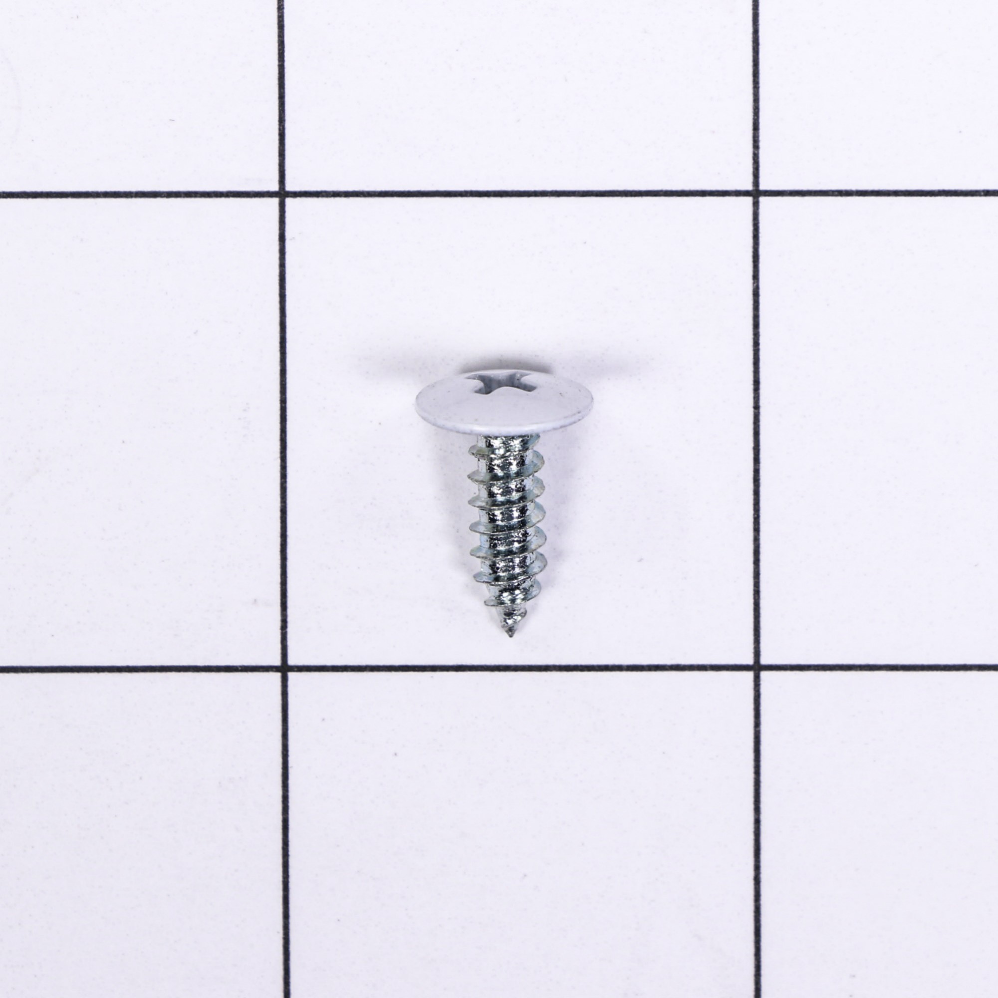 WP98008544 SCREW